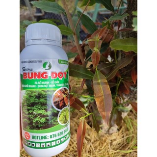 Bung đọt ra rễ mai vàng chai 500ml. Phân bón cho cây mai, kích rễ, ra đọt