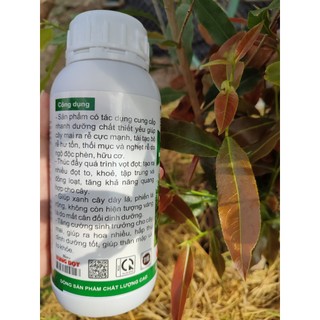 PHÂN BÓN LÁ SIÊU BUNG ĐỌT CHUYÊN MAI CHAI 500ML