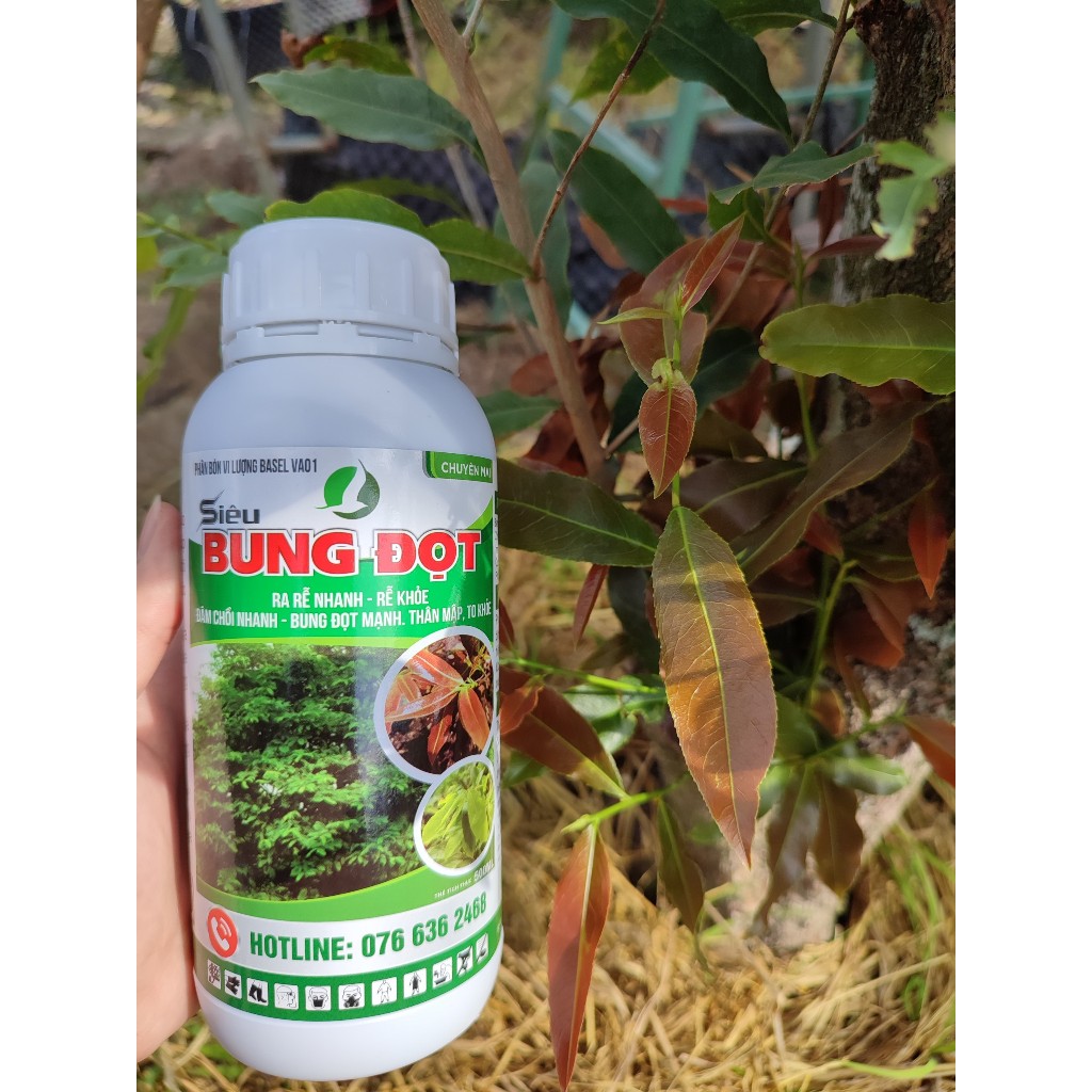 Bung đọt ra rễ cho mai. Phân bón vi lượng ( 500ml)