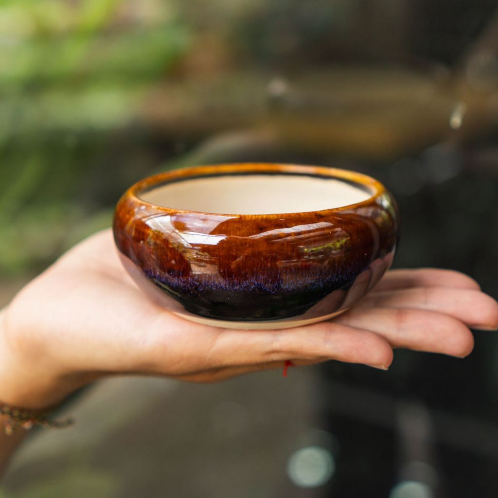 Chậu Men Vintage mini - Ang bo không ế  - Men loại 1 - Trồng cây gì cũng rất là nghệ thuật | Bloom Garden