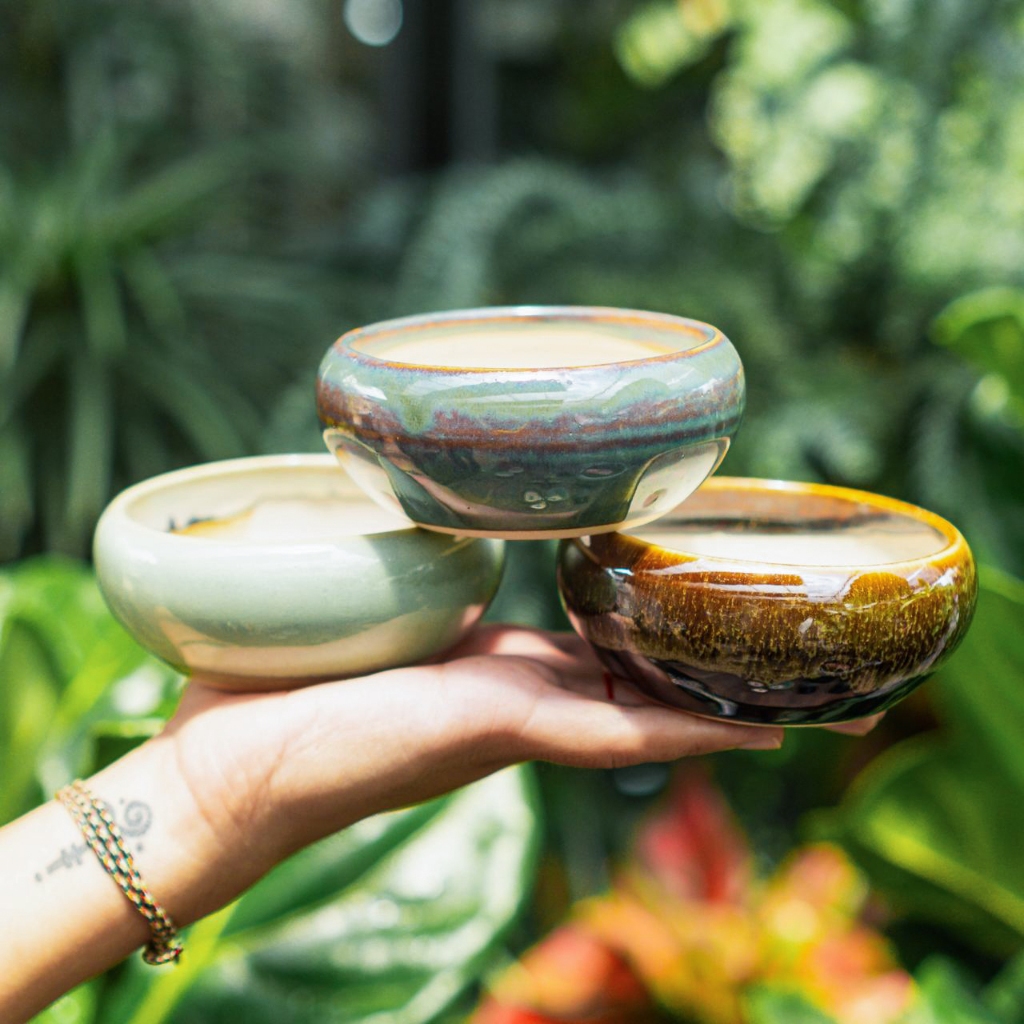 Chậu Men Vintage mini - Ang bo không ế  - Men loại 1 - Trồng cây gì cũng rất là nghệ thuật | Bloom Garden