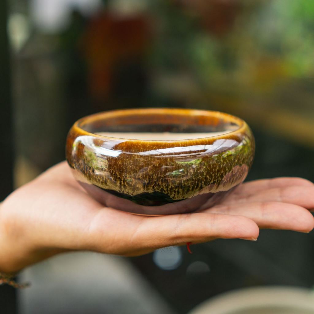 Chậu Men Vintage mini - Ang bo không ế  - Men loại 1 - Trồng cây gì cũng rất là nghệ thuật | Bloom Garden