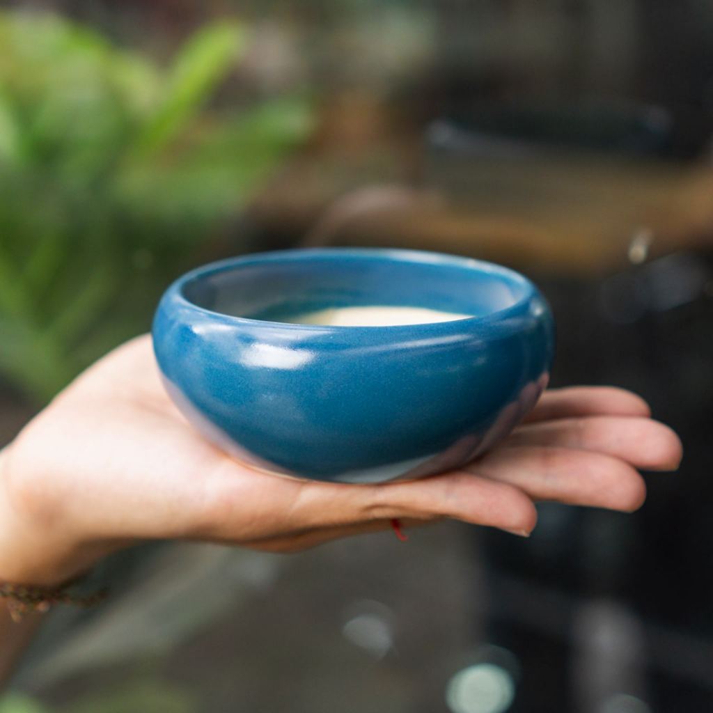 Chậu Men Vintage mini - Ang bo không ế  - Men loại 1 - Trồng cây gì cũng rất là nghệ thuật | Bloom Garden