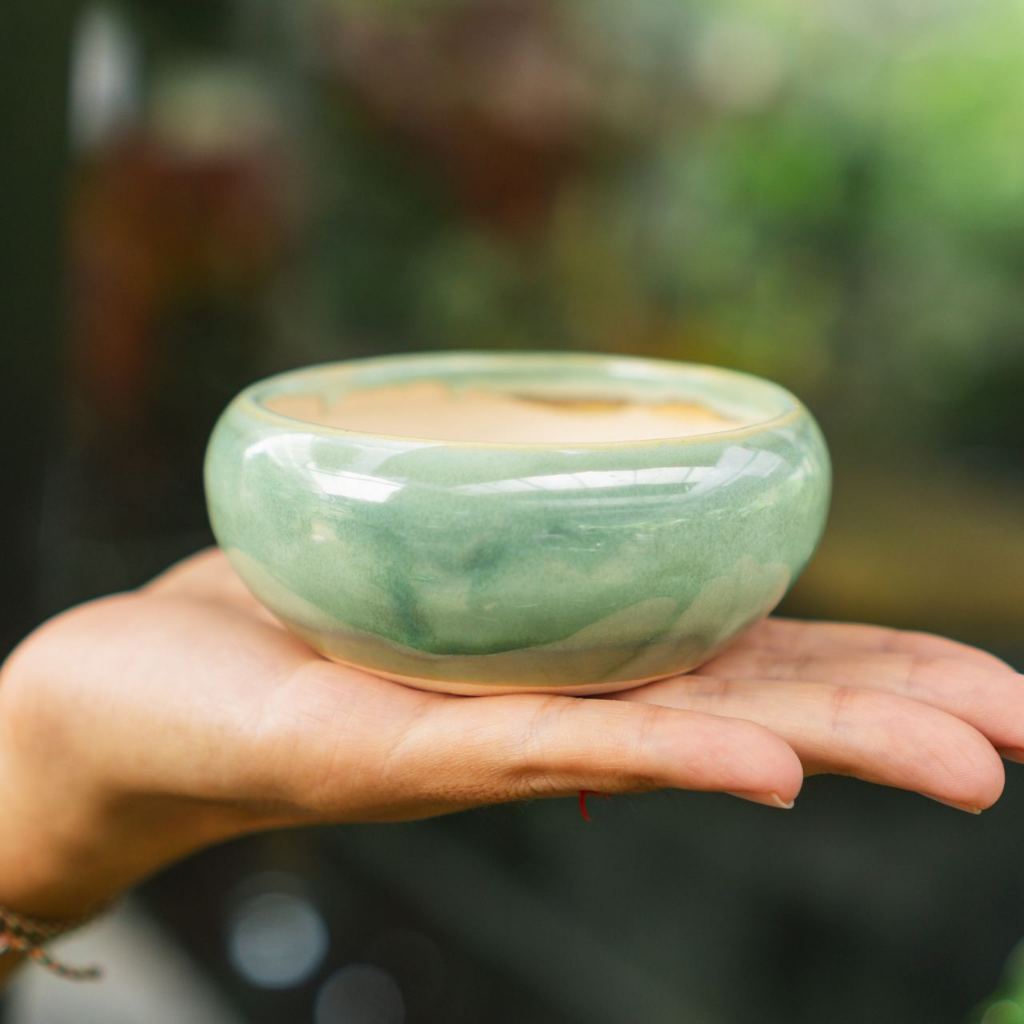 Chậu Men Vintage mini - Ang bo không ế  - Men loại 1 - Trồng cây gì cũng rất là nghệ thuật | Bloom Garden