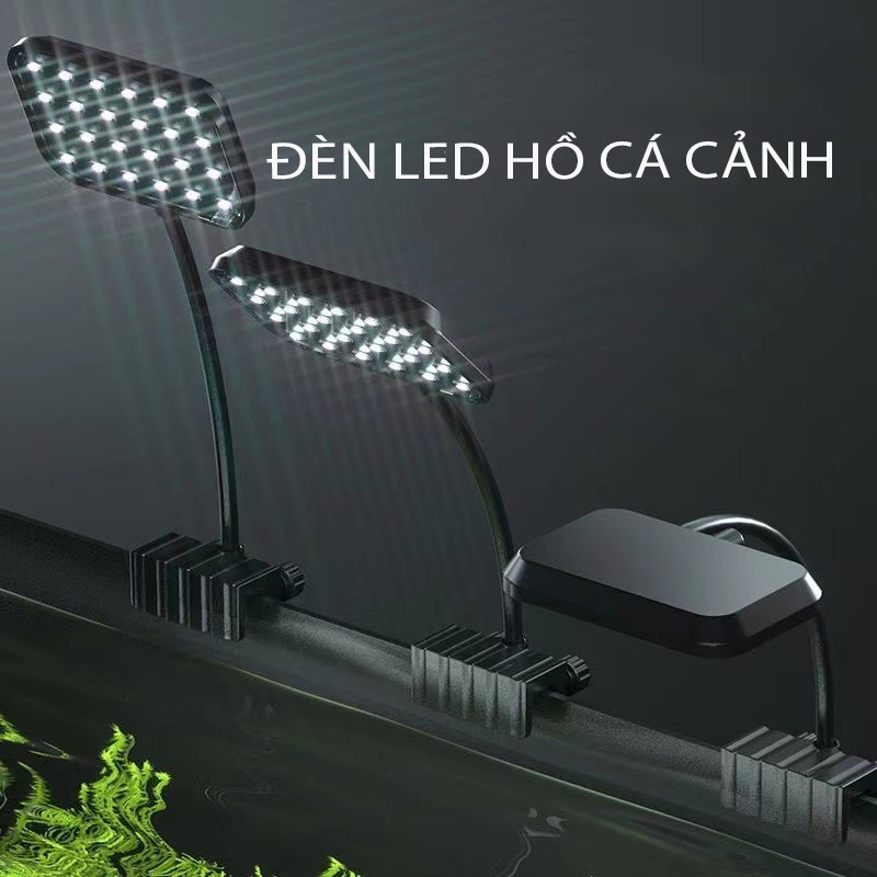 Đèn Led kẹp DUTRON FD-01 và FD-02 Chuyên Dụng Cho Hồ Thủy Sinh, Hồ Cá Nhỏ - Ánh sáng hoàn hảo cho hồ cá của bạn