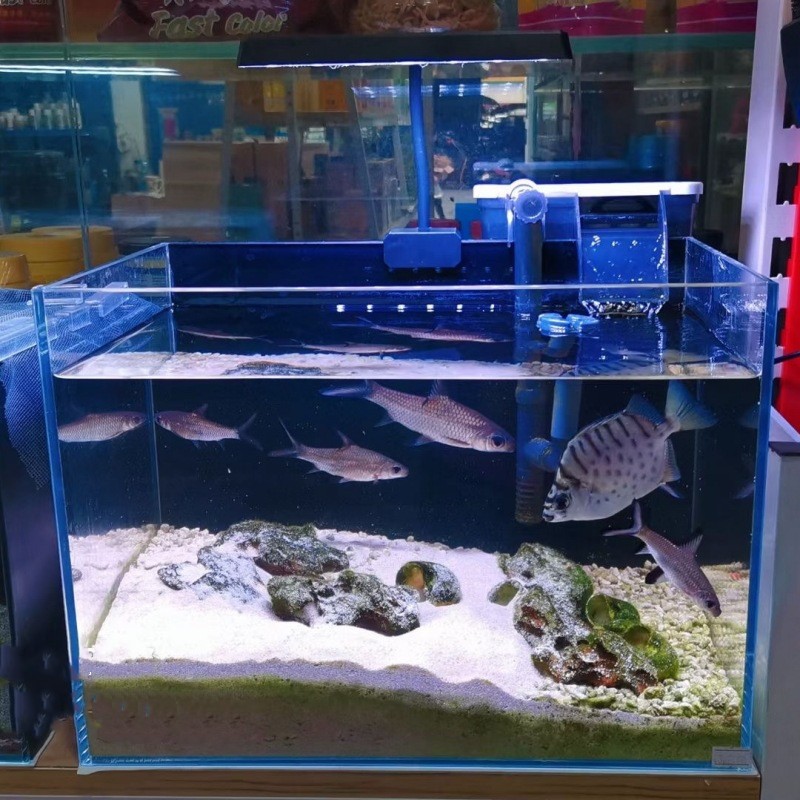 Đèn Led kẹp DUTRON FD-01 và FD-02 Chuyên Dụng Cho Hồ Thủy Sinh, Hồ Cá Nhỏ - Ánh sáng hoàn hảo cho hồ cá của bạn