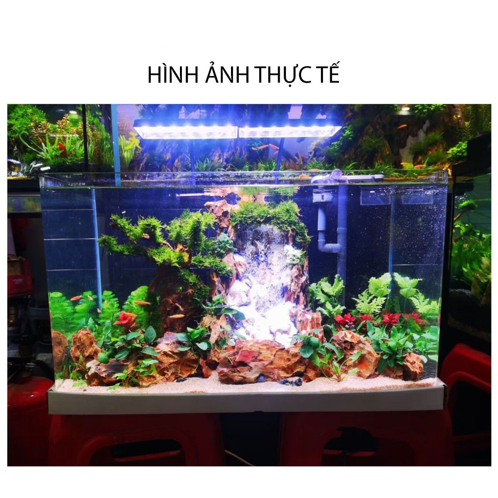 Đèn Led kẹp DUTRON FD-01 và FD-02 Chuyên Dụng Cho Hồ Thủy Sinh, Hồ Cá Nhỏ - Ánh sáng hoàn hảo cho hồ cá của bạn