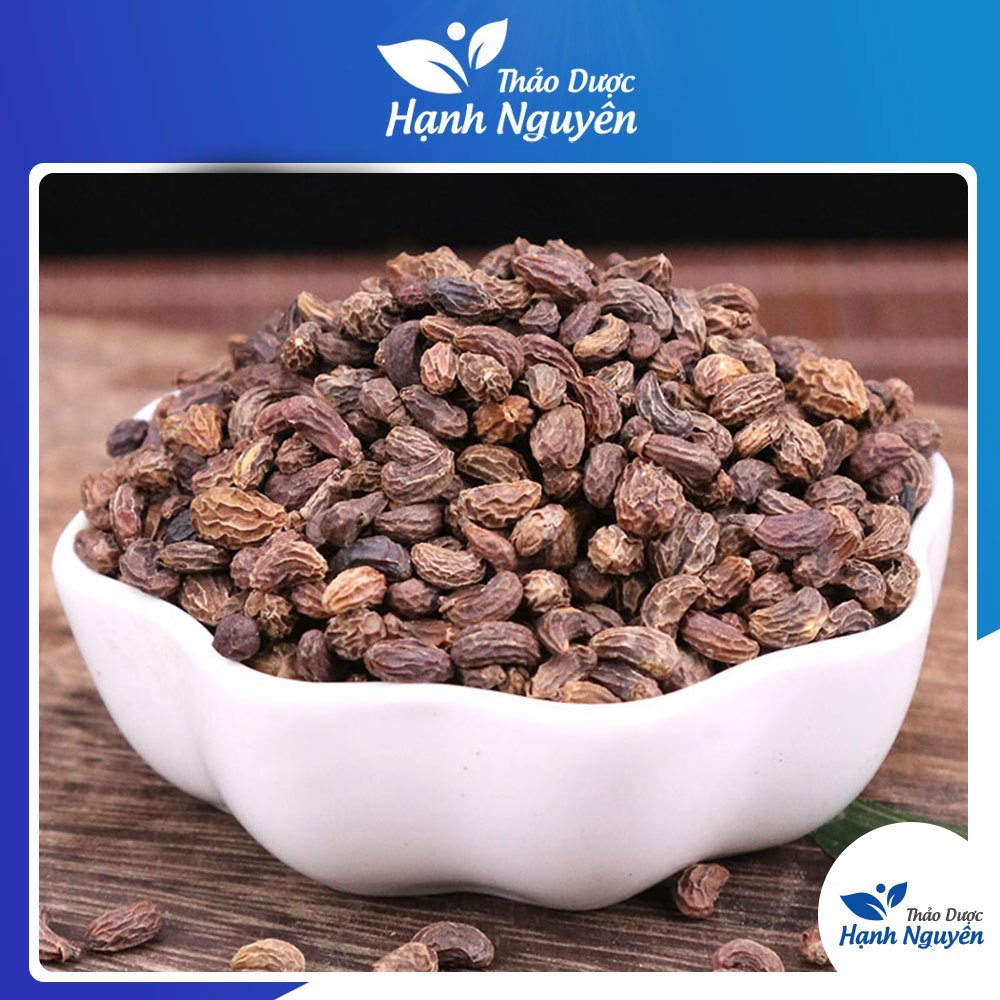Nữ trinh tử 500g, hạt khô, sạch - Thảo dược hạnh nguyên