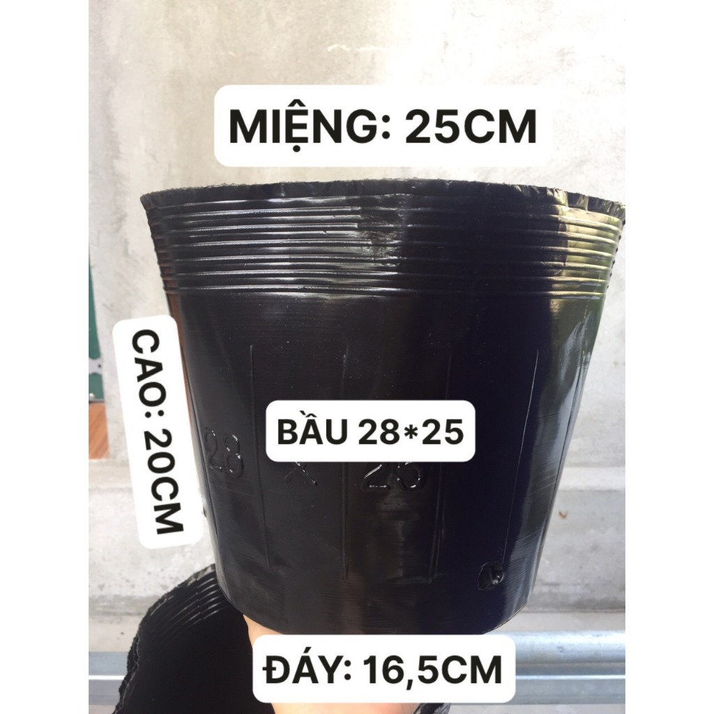 20 cái chậu dẻo ươm cây mã 28x25
