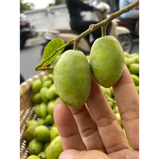 Cà Na thái Trái tươi trái to tươi nhà trồng