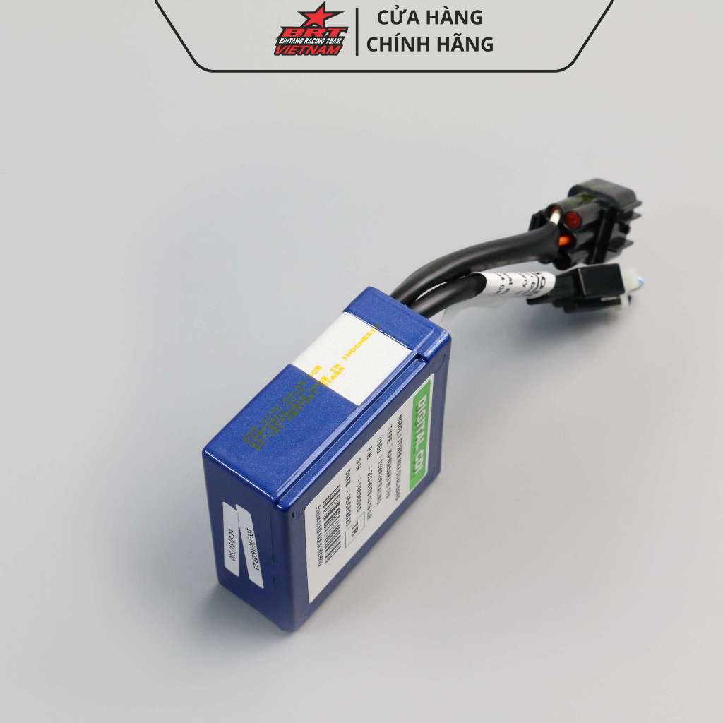 IC BRT Kawasaki W175