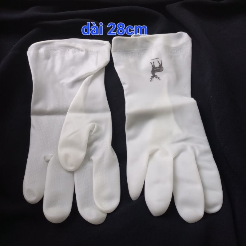 Găng tay cao su số 7/8/9 và L
