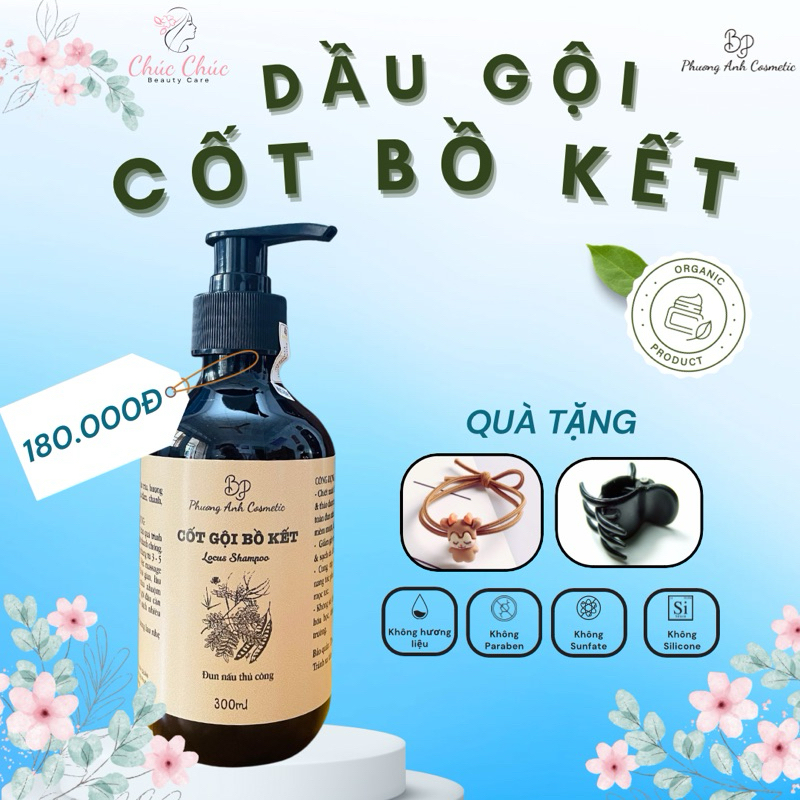 DẦU GỘI CỐT BỒ KẾT - CHO BẠN MÁI TÓC CHẮC KHOẺ