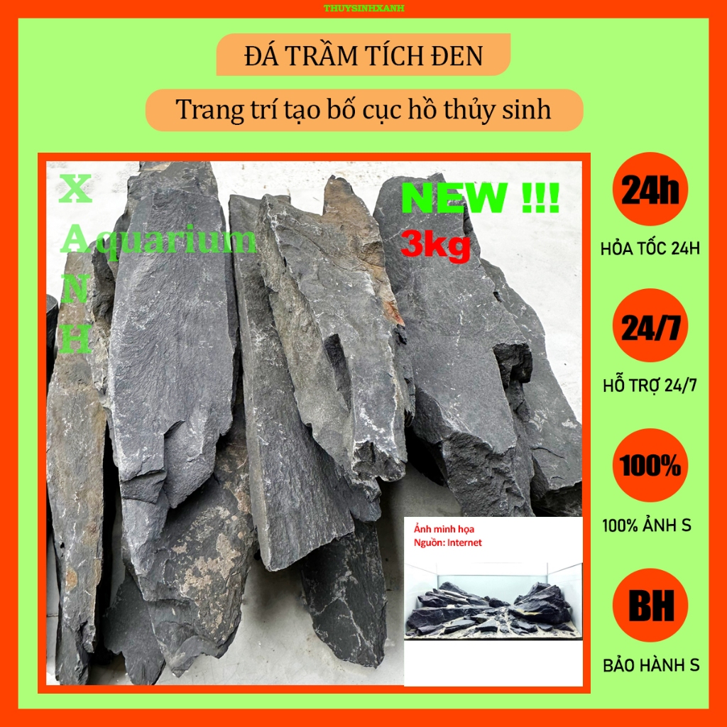 Đá trầm tích đen thủy sinh