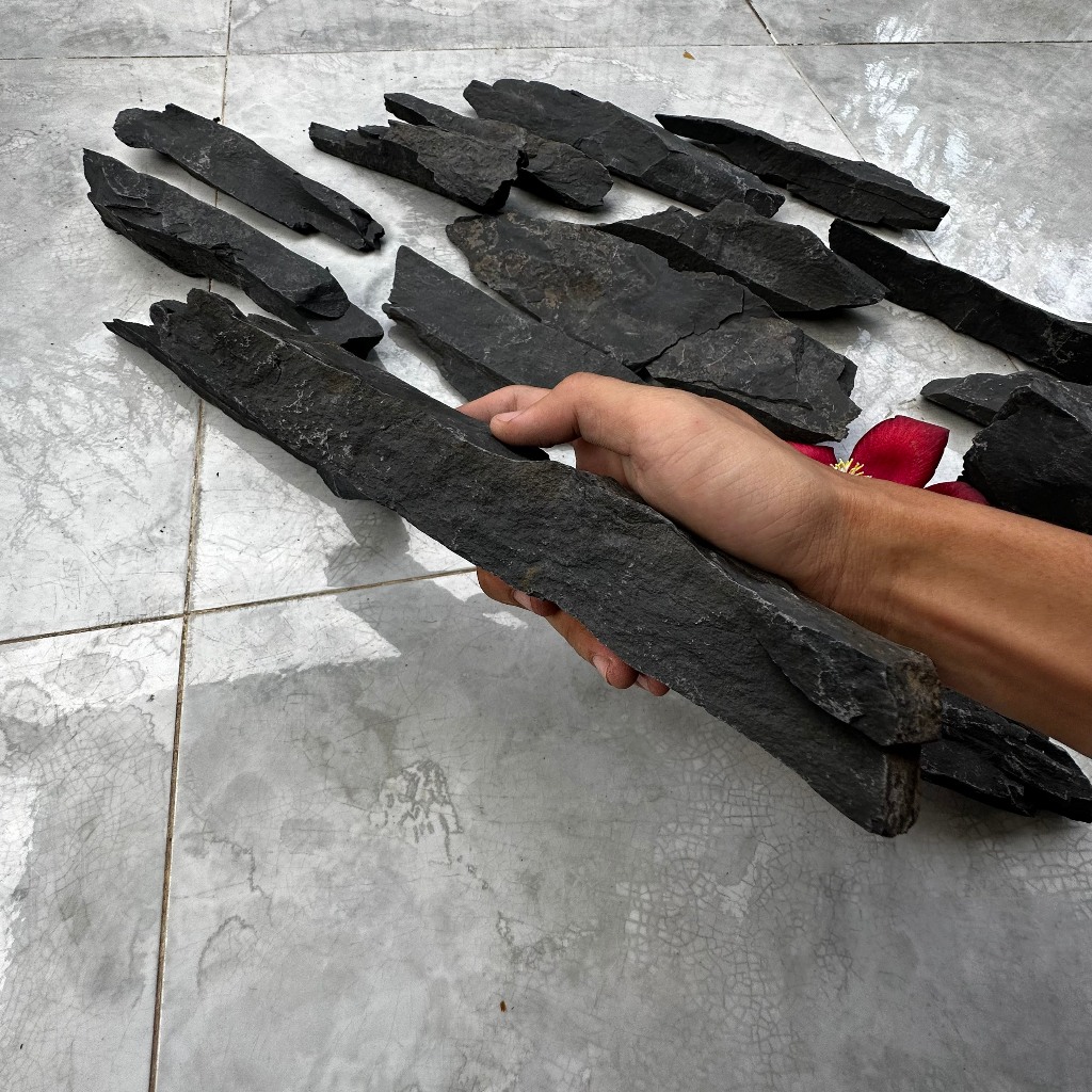 Đá trầm tích đen thủy sinh