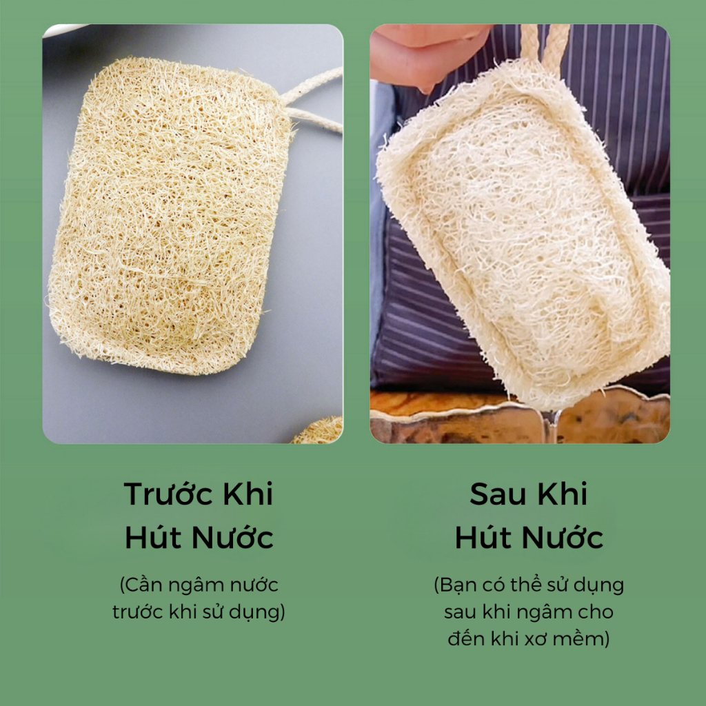 Xơ Mướp Tự Nhiên Rửa Chén Bát Urhome