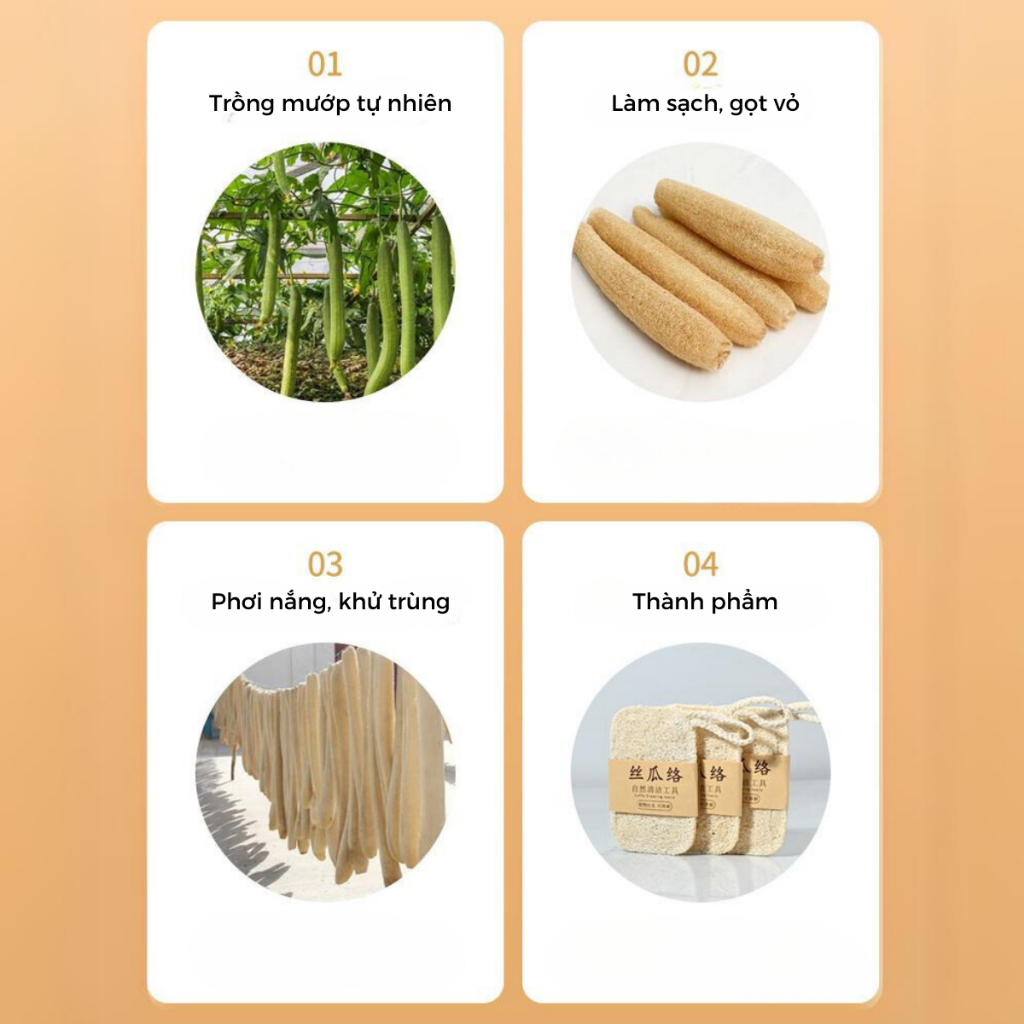 Xơ Mướp Tự Nhiên Rửa Chén Bát Urhome