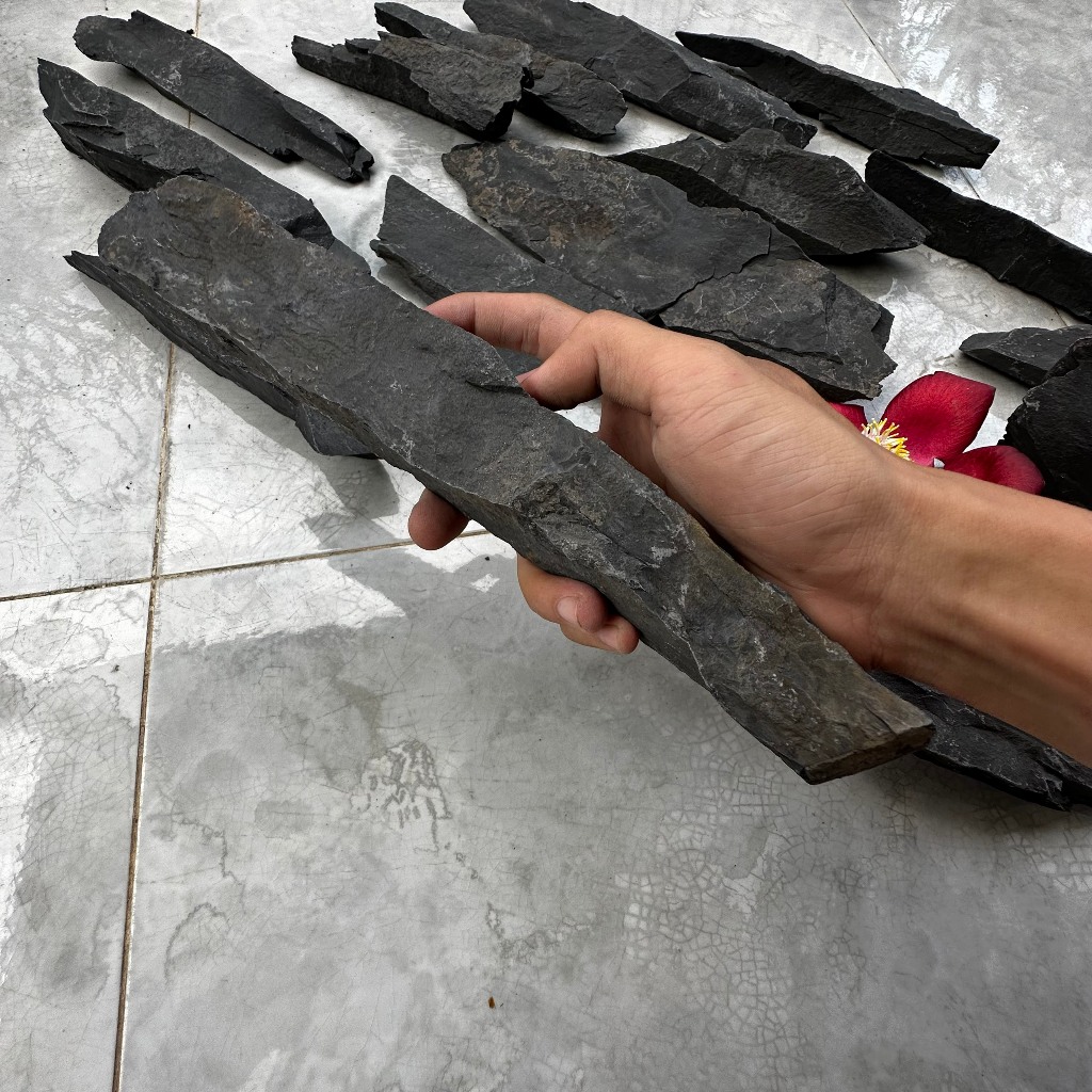 Đá trầm tích đen thủy sinh