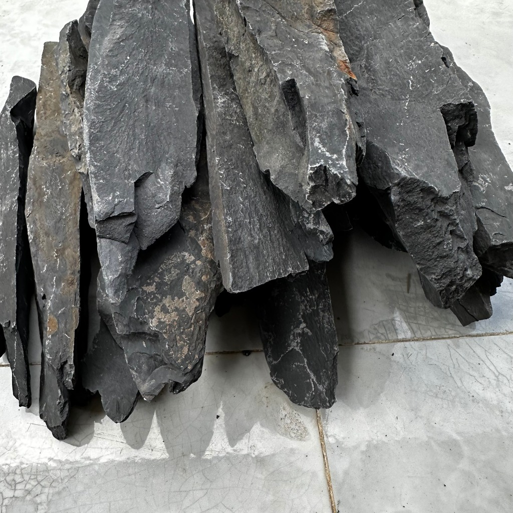 Đá trầm tích đen thủy sinh