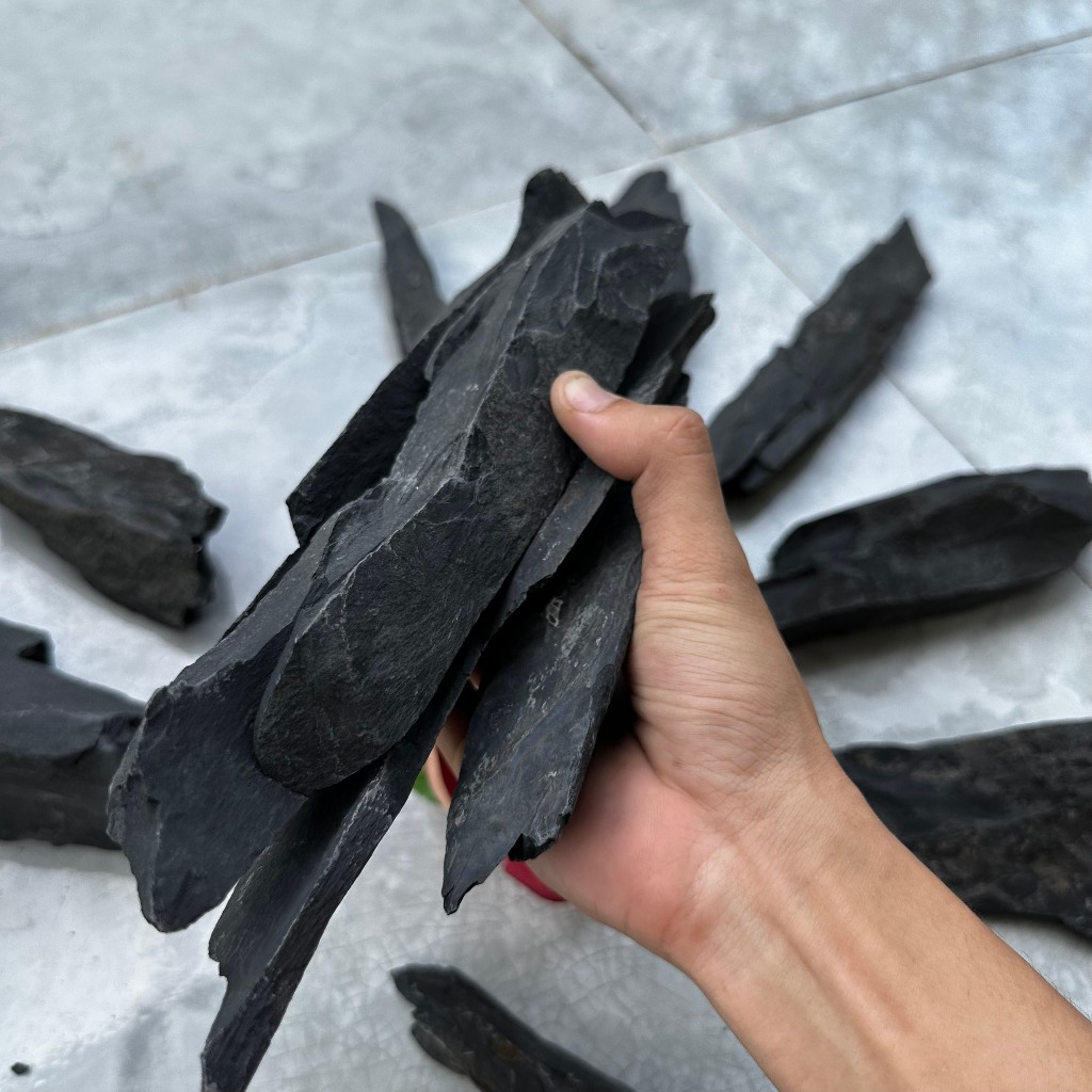Đá trầm tích đen thủy sinh