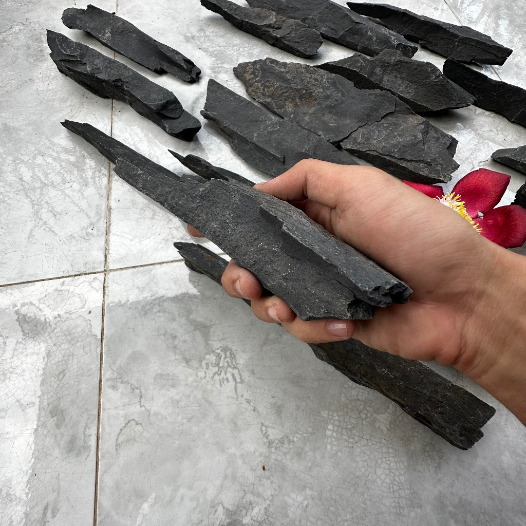 Đá trầm tích đen thủy sinh