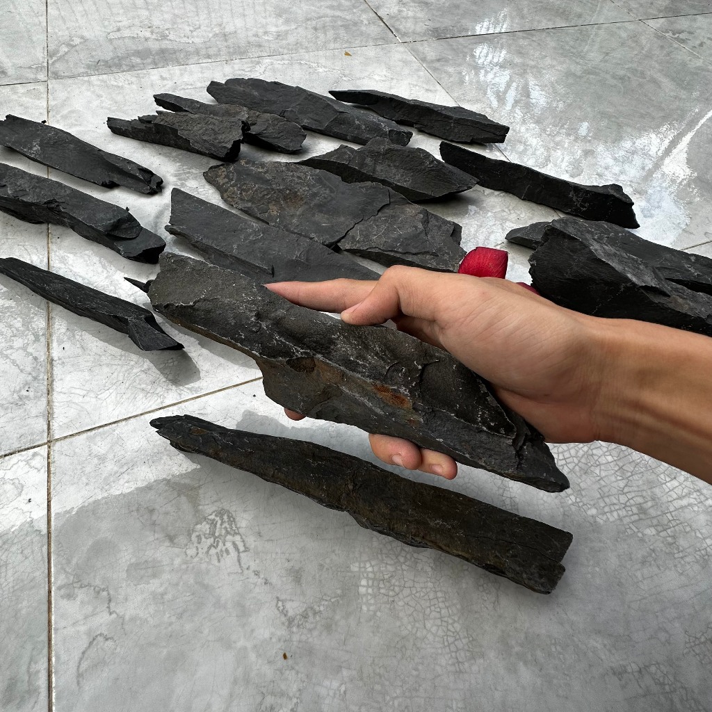 Đá trầm tích đen thủy sinh