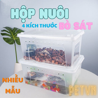 Hộp Nuôi + Hang Nuôi Nhện Tarantula, Thằn Lằn Lg, Côn Trùng, Ếch, Bò Sát. Hộp Vận Chuyển Bò Sát.