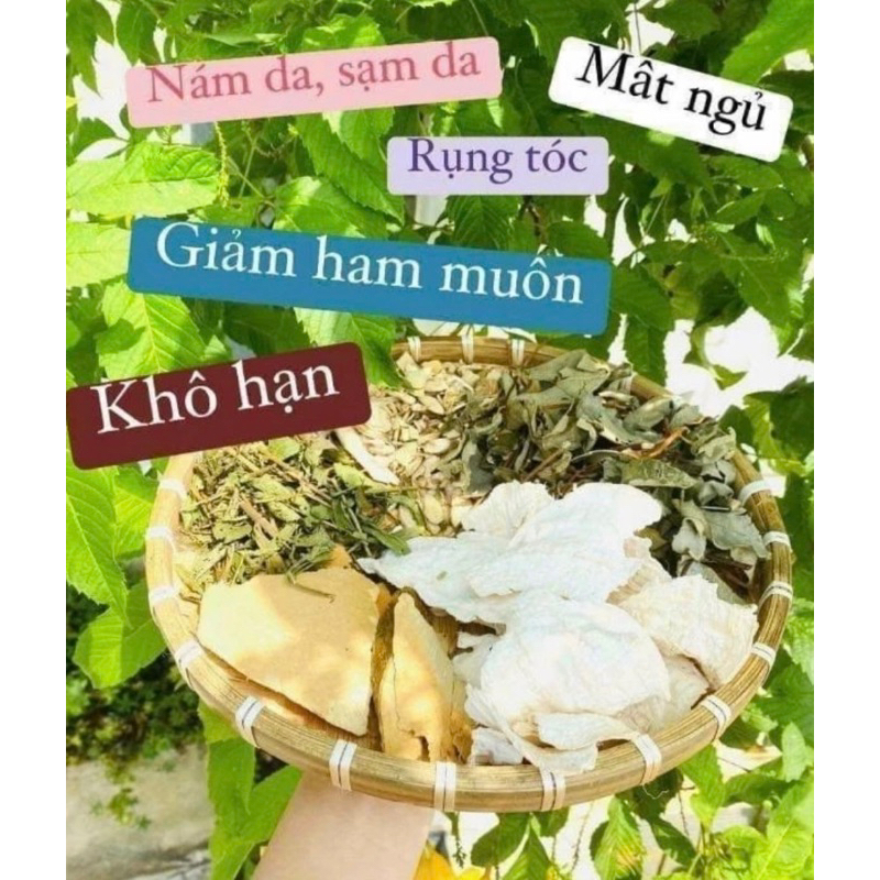 Lá nam Sâm tố nữ 10 sét Cực ngon, đẹp da ,chống lão hóa thơm mới