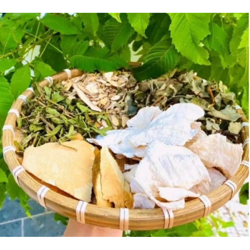 Lá nam Sâm tố nữ 10 sét Cực ngon, đẹp da ,chống lão hóa thơm mới