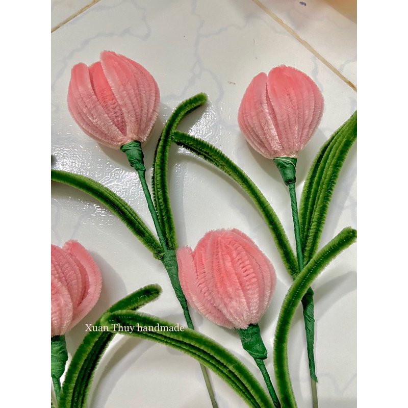 Bó hoa tulip 1 bông,3 bông tặng 20/11 nè