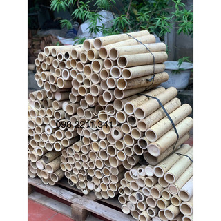 Ống trúc già làm lồng (1 ống)