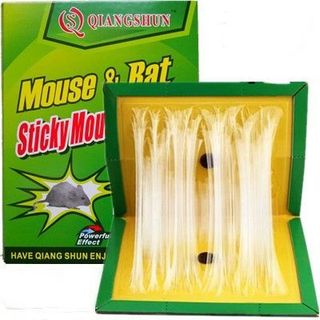Miếng keo dính chuột siêu dính Mouse & Rat Glue Plank, Miếng dính bẫy chuột