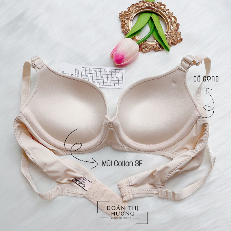 Áo Ngực Copa Cài Sau Mặc Áo Dài Có Gọng Nâng Ngực - ÁO LÓT COPA CÀI SAU CÓ GỌNG XUẤT MỸ NÂNG NGỰC M36
