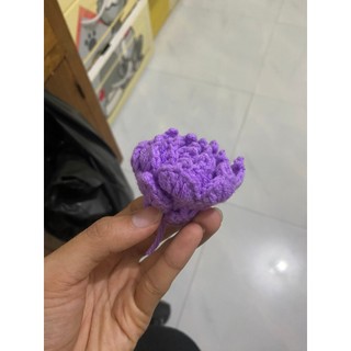 Phôi hoa hồng len cuộn