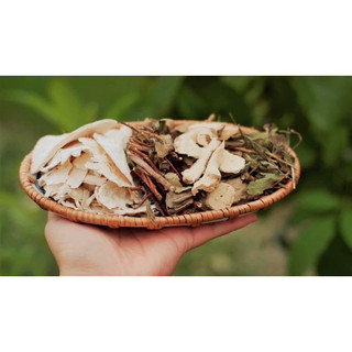 Lá nam sâm tố nữ 1 set 12 gói đủ 4 vị ( dương nam sâm,diệp hà thủ ô, sâm tố nữ, cúc mật)