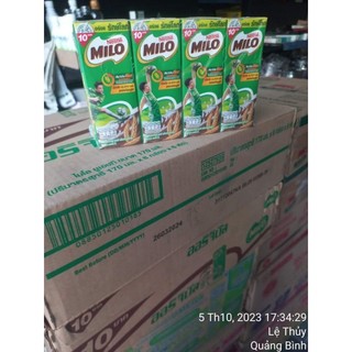 CÁC LOẠI 𝗦Ữ𝗔 𝗧𝗛Á𝗜 𝗟𝗔𝗡