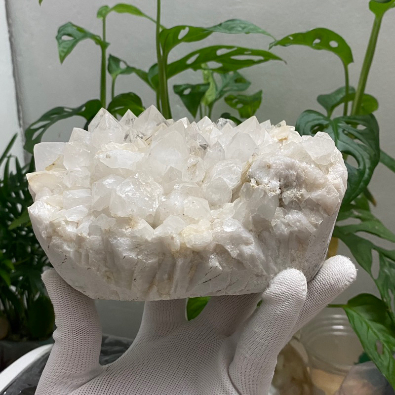 (1.579Kg)Thạch Anh tinh thể dạng vỉa(Crystal Quart), dùng trưng bày, sưu tầm, thanh tẩy Tarot...!!!