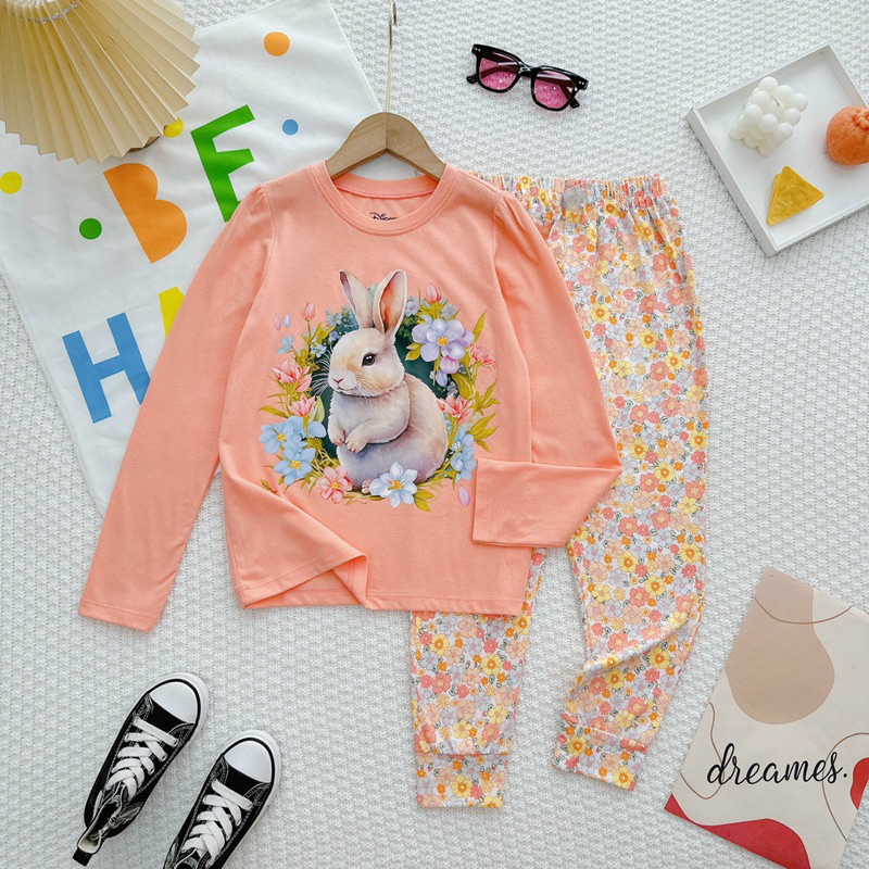 Bộ Dài Tay Bé Gái Thun Cotton VNXK