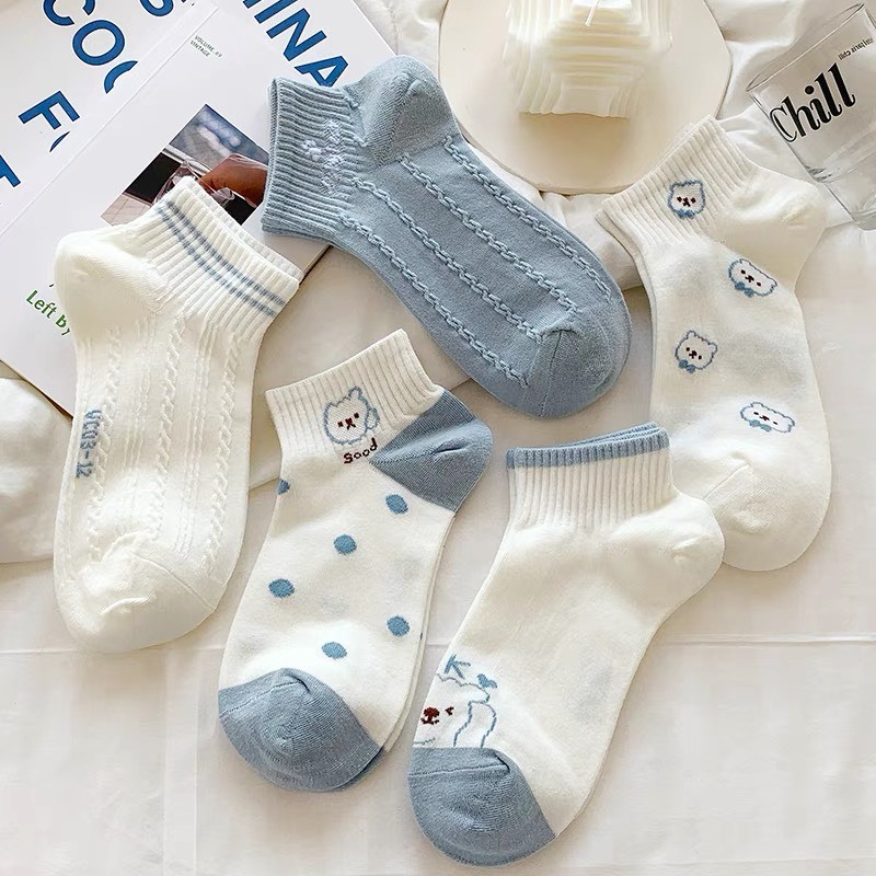 Set 5 Đôi Tất Tông Xanh Hình Gấu Siêu Hot Phong Cách Hàn TH11