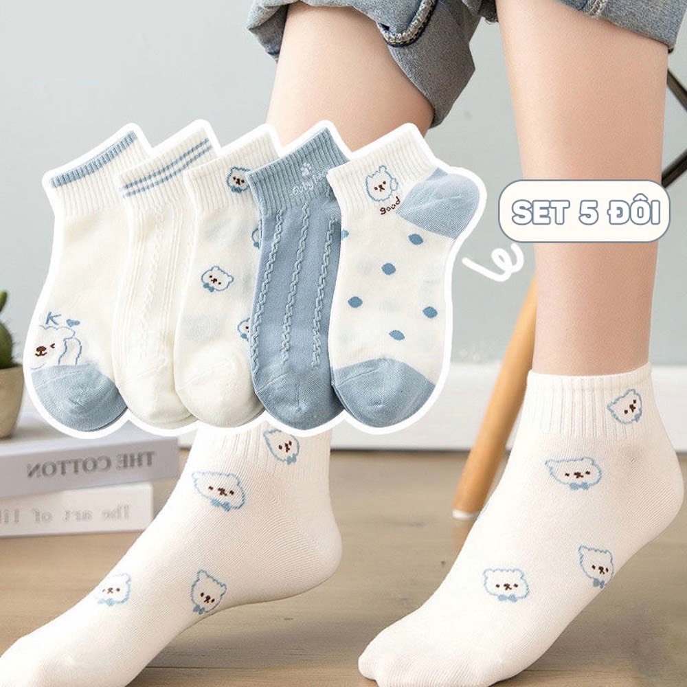 Set 5 Đôi Tất Tông Xanh Họa Tiết Gấu Siêu Hot Phong Cách Hàn TH11