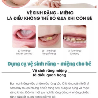Gạc rơ lưỡi Mintuu - R01