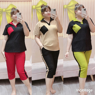 Bộ lững cổ trụ thun xốp lạnh phối màu bigsize 68-95kg