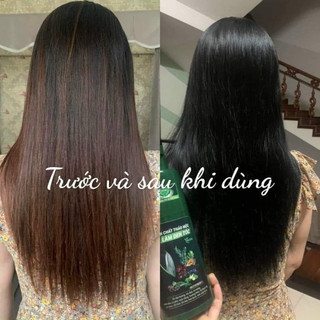PHỦ BẠC MẸ KEN-TINH CHẤT LÀM ĐEN TÓC THẢO MỘC