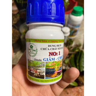 No:1 siêu kích rể cực mạnh