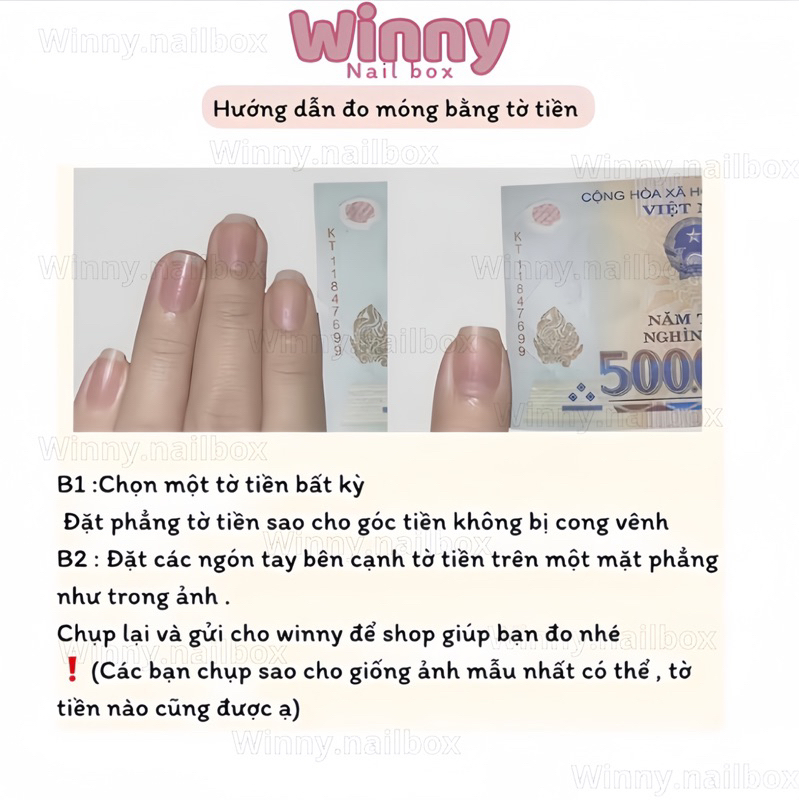 Nailbox - móng úp thiết kế - hoạ tiết trắng nơ Mã V5->V8
