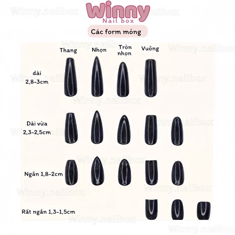 Nailbox - móng úp thiết kế - hoạ tiết trắng nơ Mã V5->V8