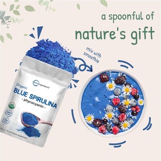 Bột tảo blue spirulina hữu cơ - micro ingredients