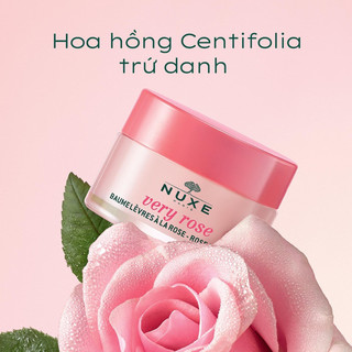 Dưỡng môi Nuxe Reve de Miel Lip Balm 15g
