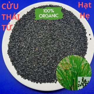 Cửu Thái Tử, túi 100gr loại hạt đen chắc mẩy