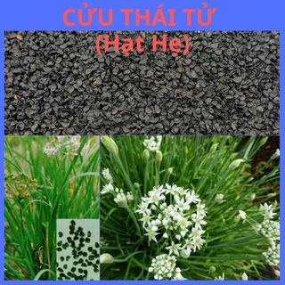 Cửu Thái Tử (hạt hẹ), túi 100gr loại hạt đen chắc mẩy